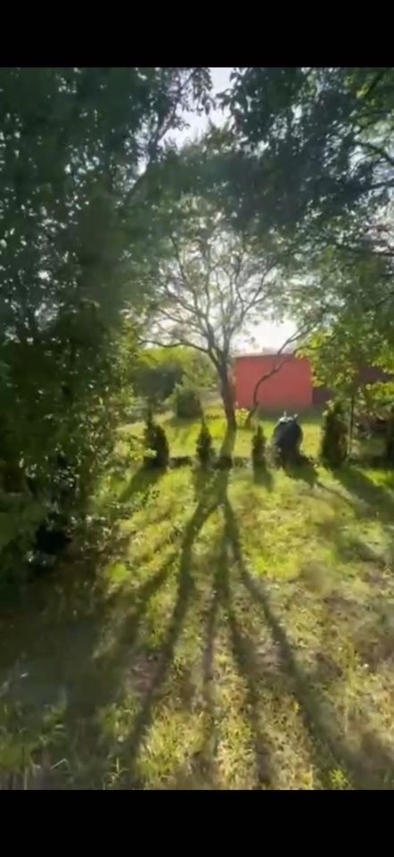 Działka rod Zielona Góra Przylep, ul. Przylep-Solidarności. Zdjęcie 6