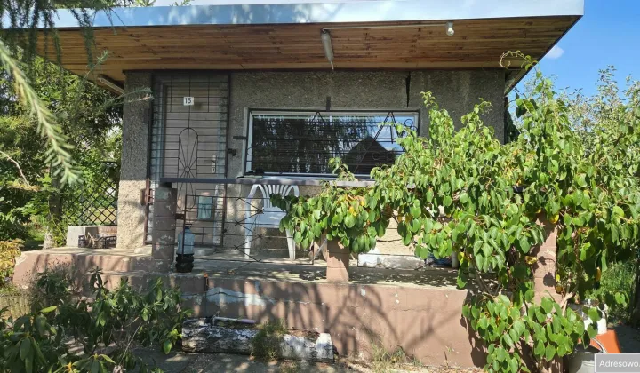 Działka rod Kędzierzyn-Koźle Kuźniczka, ul. Grunwaldzka