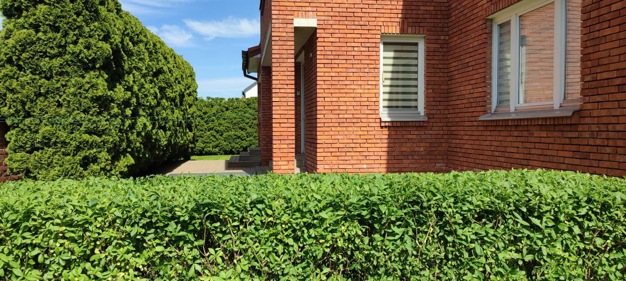 dom wolnostojący, 9 pokoi Kozienice Borki, ul. Przyjaciół. Zdjęcie 4