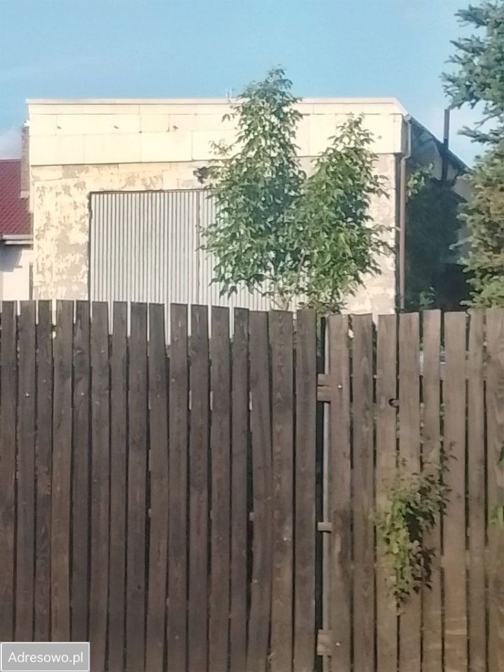 Działka inwestycyjna Suchy Las, ul. Parkowa. Zdjęcie 6