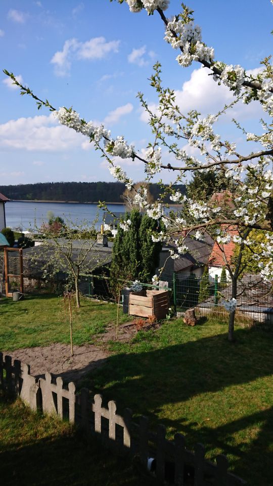 inny, 6 pokoi Sępólno Krajeńskie, ul. Jeziorna. Zdjęcie 15