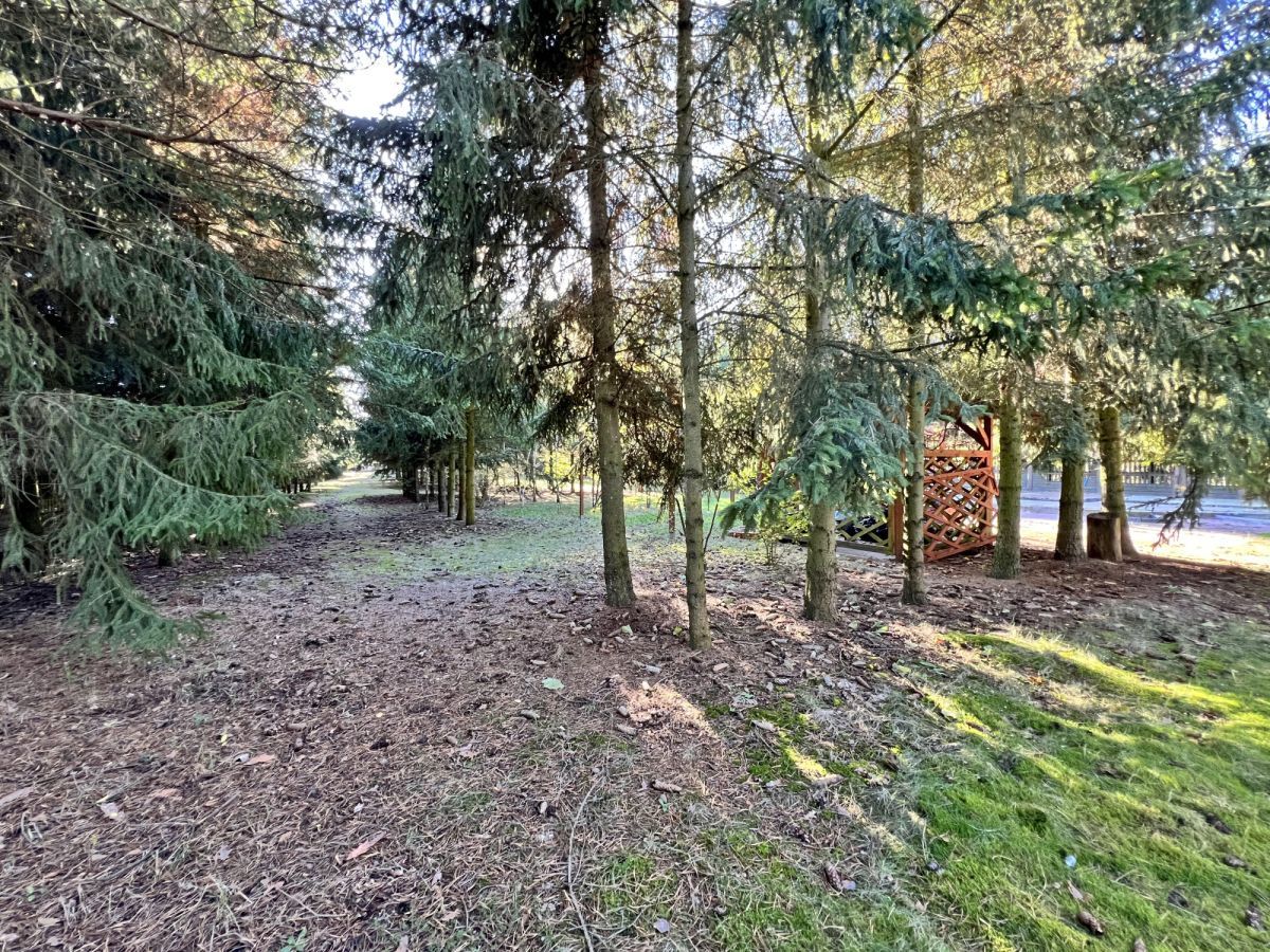 dom wolnostojący, 5 pokoi Lasocin. Zdjęcie 7