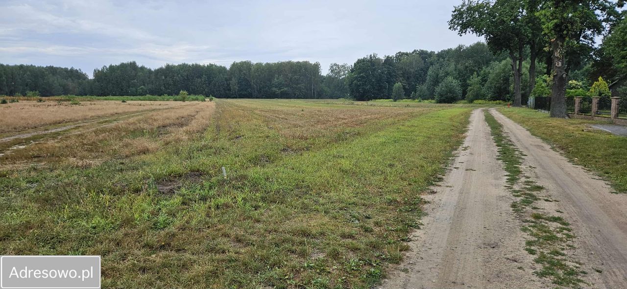 Działka budowlana Nowa Pogorzel, ul. Długa. Zdjęcie 5