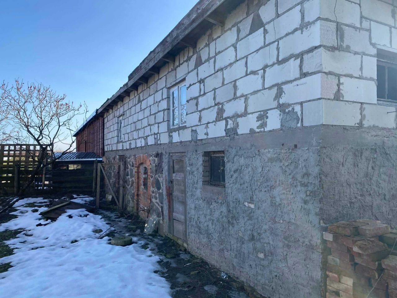 bliźniak Notyst Mały. Zdjęcie 6