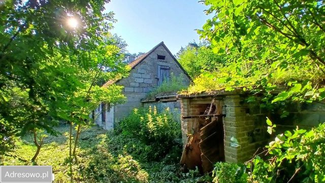 Działka rolno-budowlana Grodnia. Zdjęcie 1