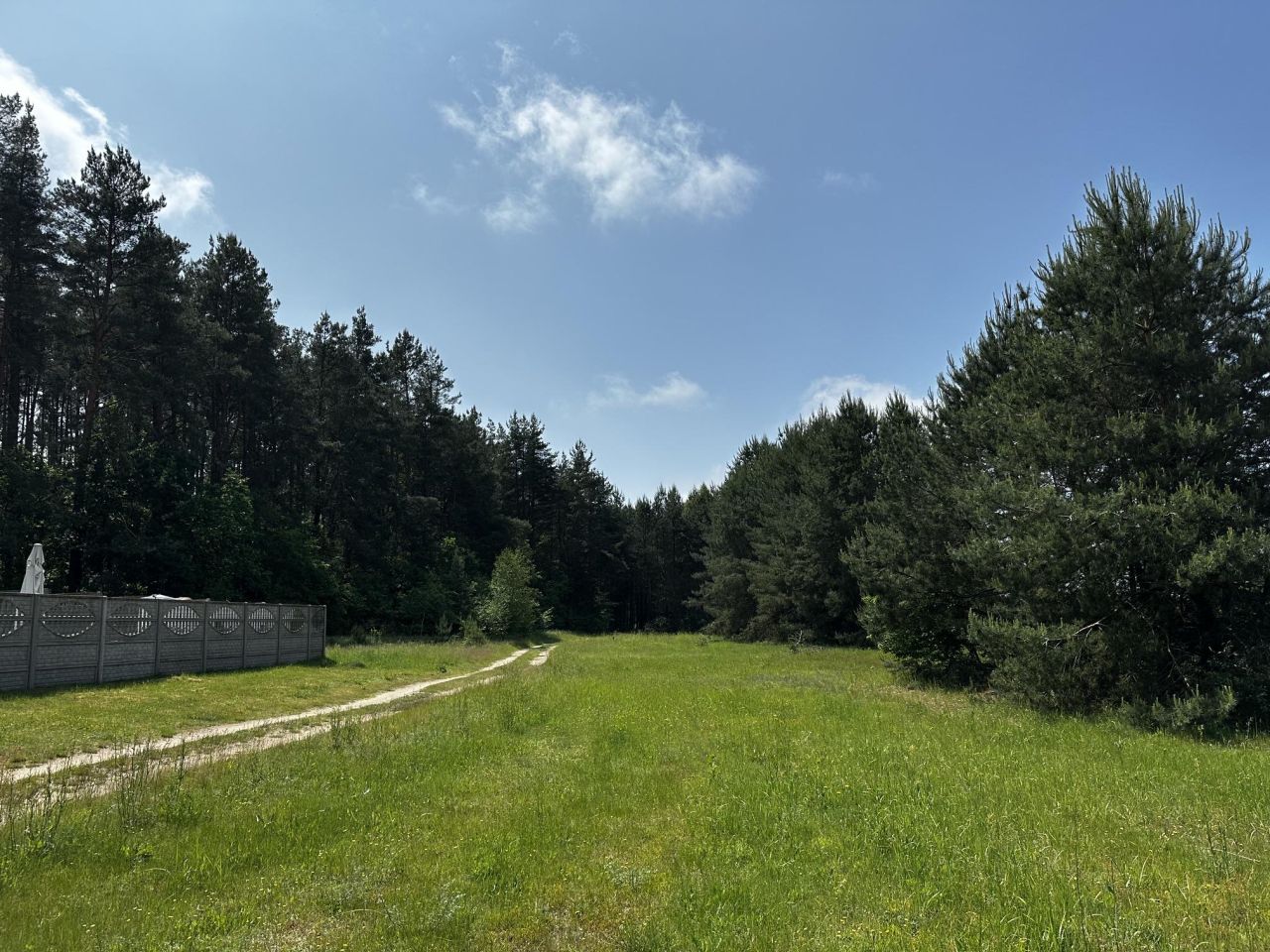 Działka rolna Kruszewo. Zdjęcie 4