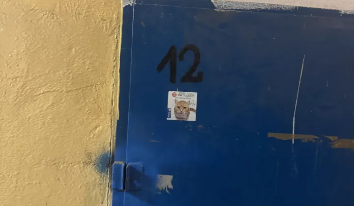 Hala/magazyn Warszawa Kamionek
