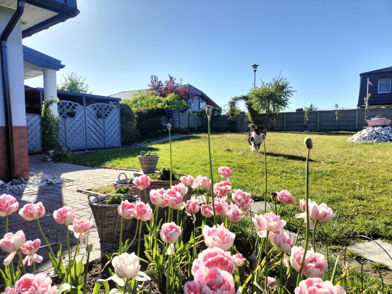 budynek wielorodzinny, 3 pokoje Niekanin, ul. Radosna. Zdjęcie 15