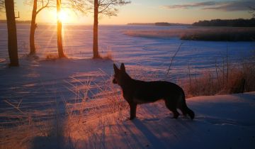 dom wolnostojący, 4 pokoje Przystań