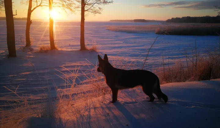 dom wolnostojący, 4 pokoje Przystań