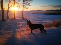 dom wolnostojący, 4 pokoje Przystań