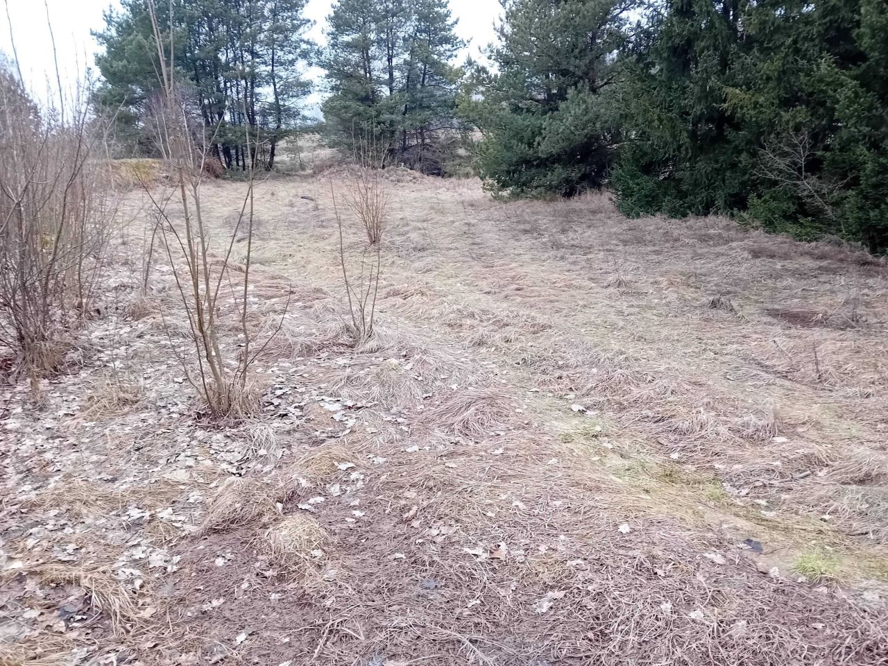 Działka budowlana Turowo. Zdjęcie 8