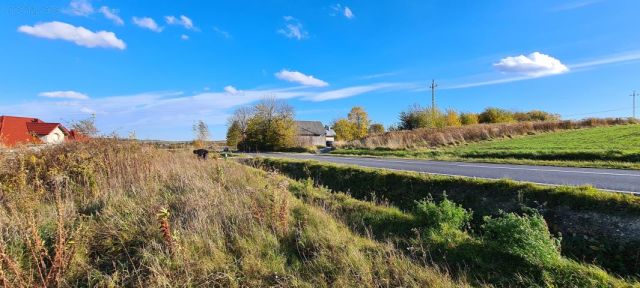 Działka rolno-budowlana Zamłynie. Zdjęcie 4