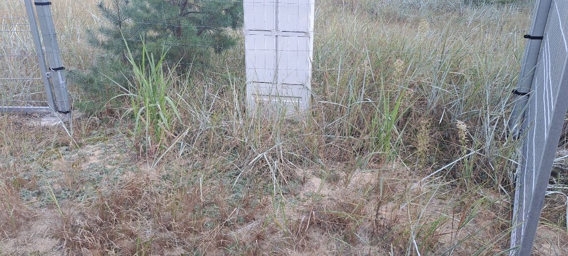 Działka budowlana Klempicz. Zdjęcie 10