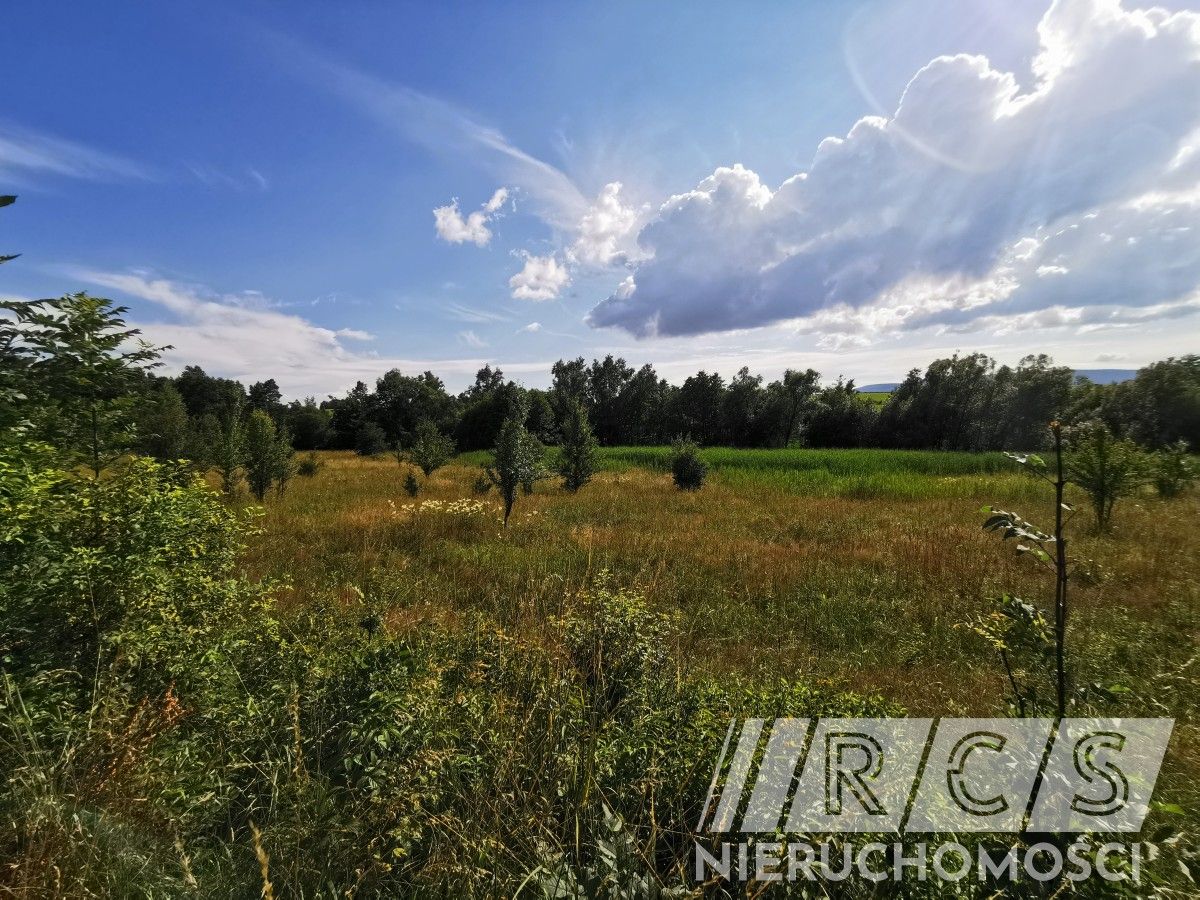 Działka budowlana Pławnica. Zdjęcie 3