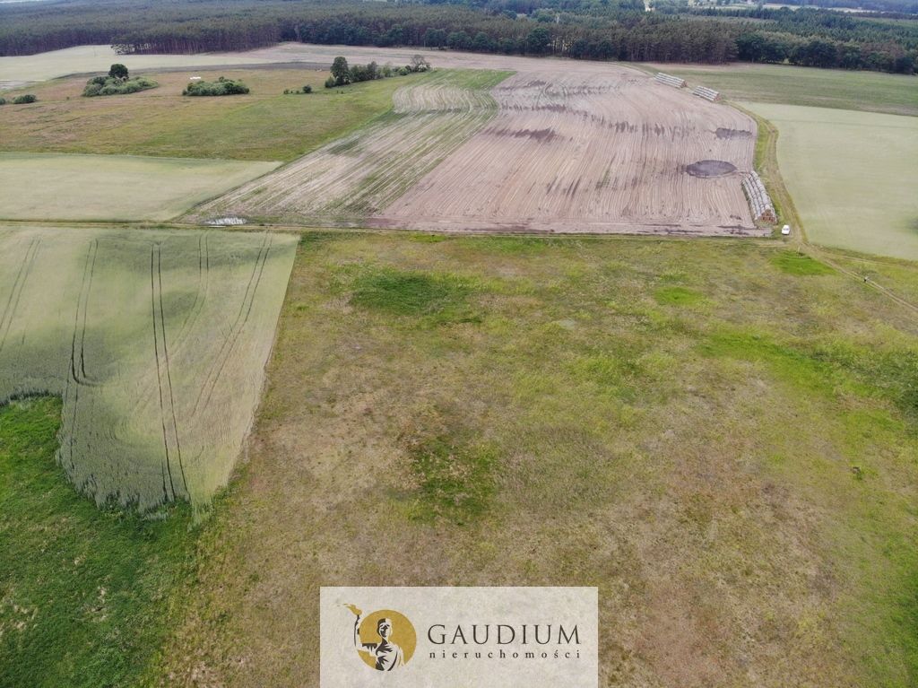 Działka Karszyn. Zdjęcie 16