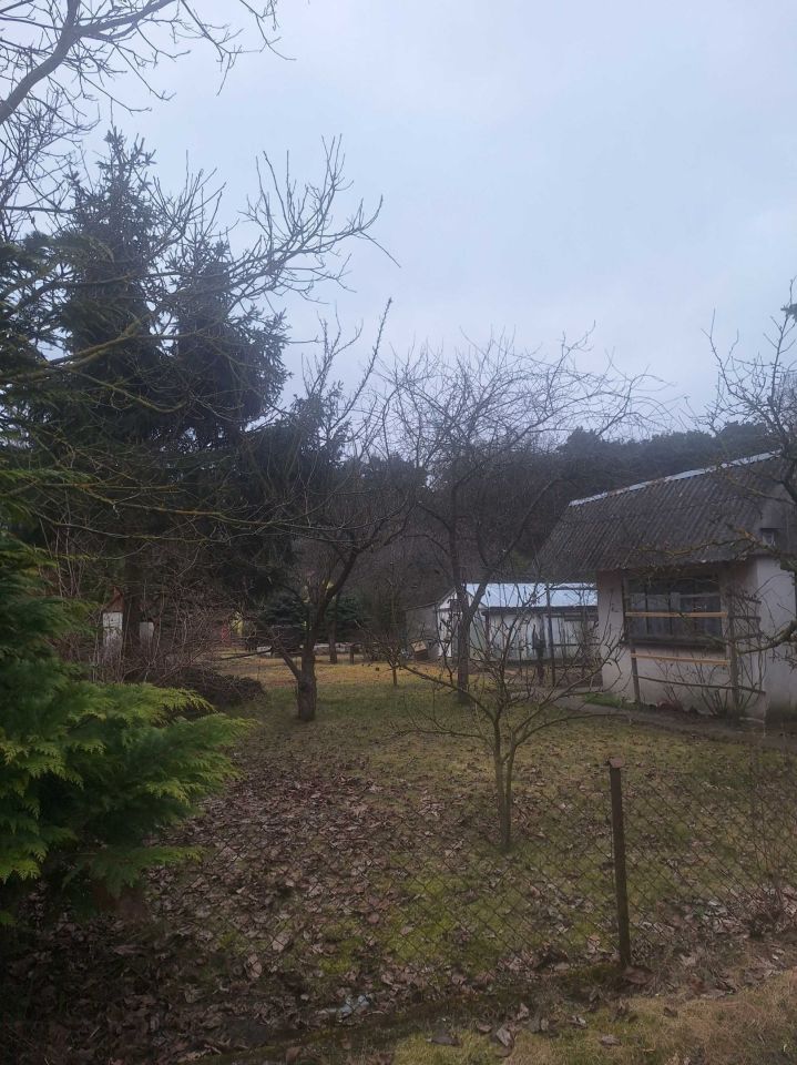 Działka rod Szubin. Zdjęcie 7