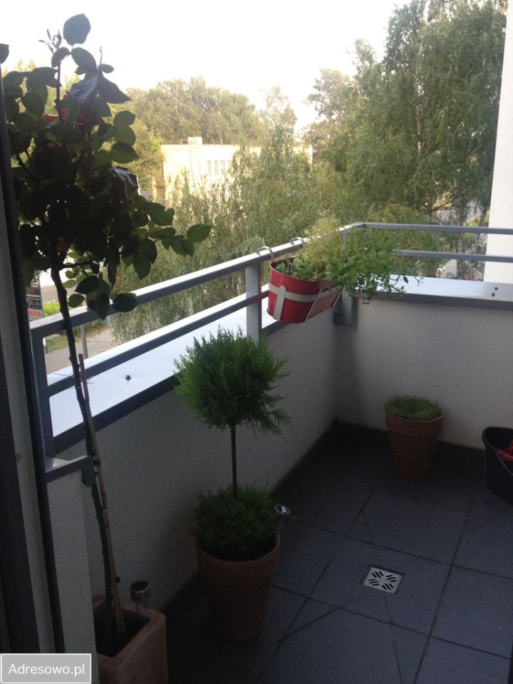 Mieszkanie 1-pokojowe Poznań Grunwald, ul. Jeleniogórska. Zdjęcie 3