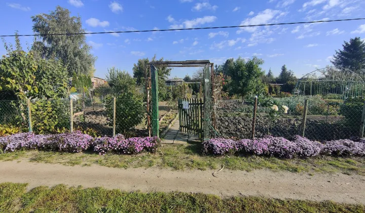 Działka rod Gurostwo