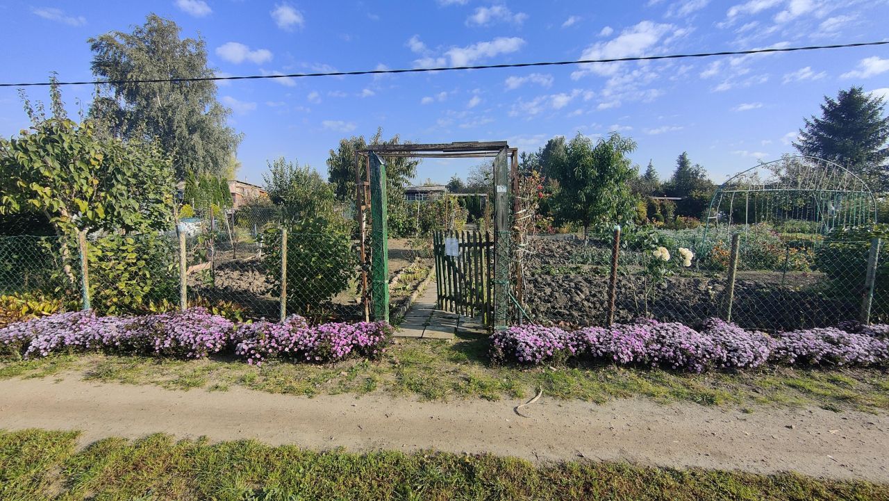 Działka rod Gurostwo. Zdjęcie 1