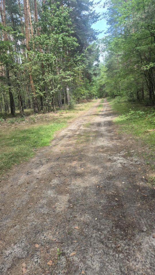 Działka leśna Jamborek, Dębowa. Zdjęcie 6