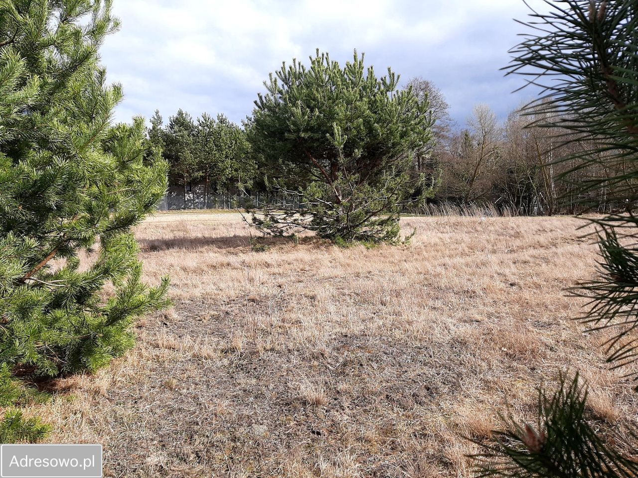 Działka budowlana Śladów. Zdjęcie 6
