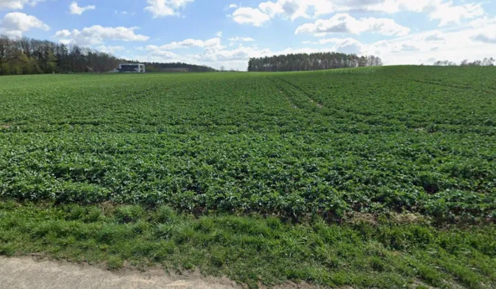 Działka budowlana Karbowo, Parcelowa