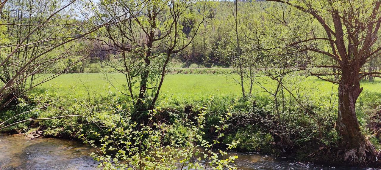 Działka rolna Sól. Zdjęcie 8