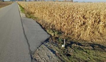 Działka rolna Zarębowo