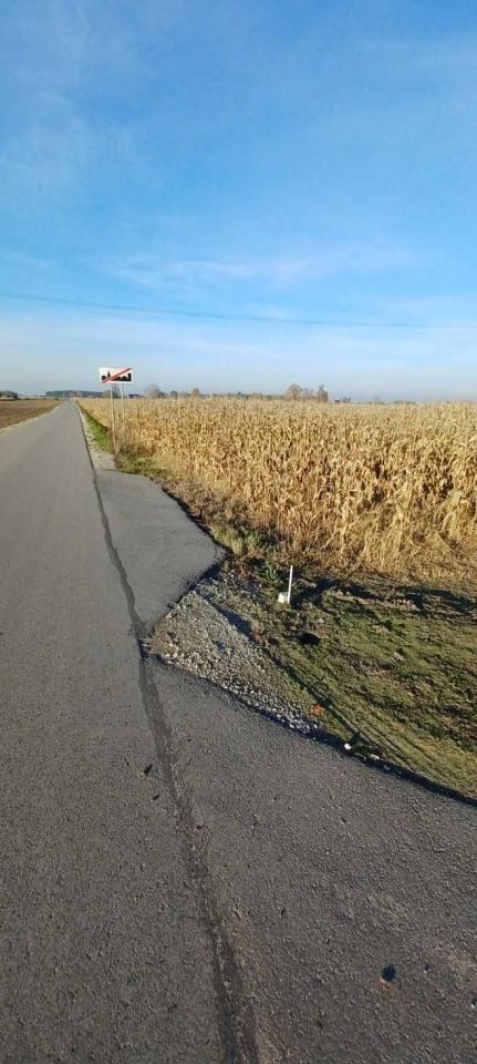 Działka rolna Zarębowo. Zdjęcie 2