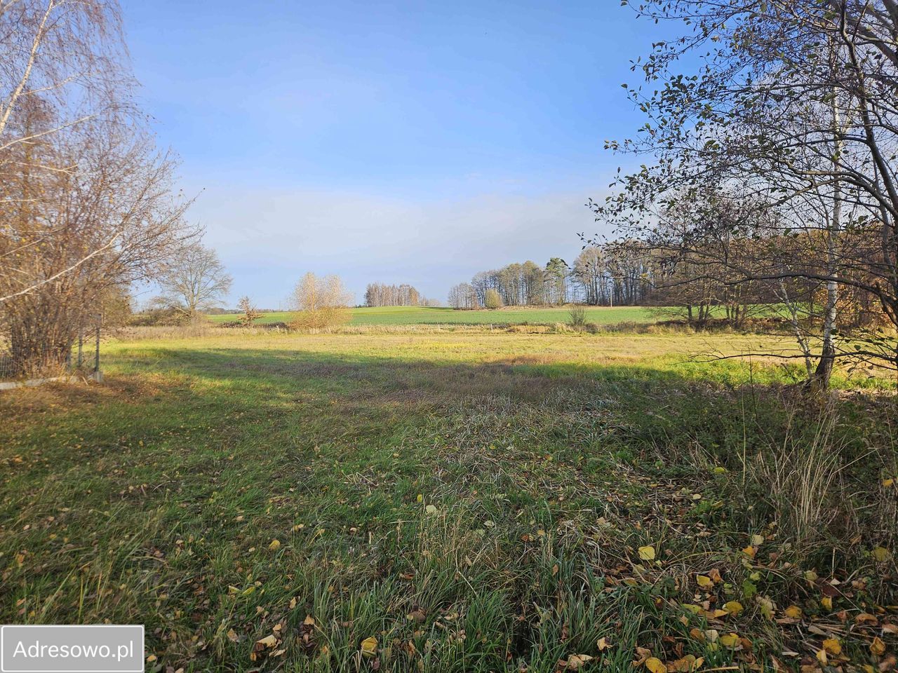 Działka rolno-budowlana Królewska Wola. Zdjęcie 7