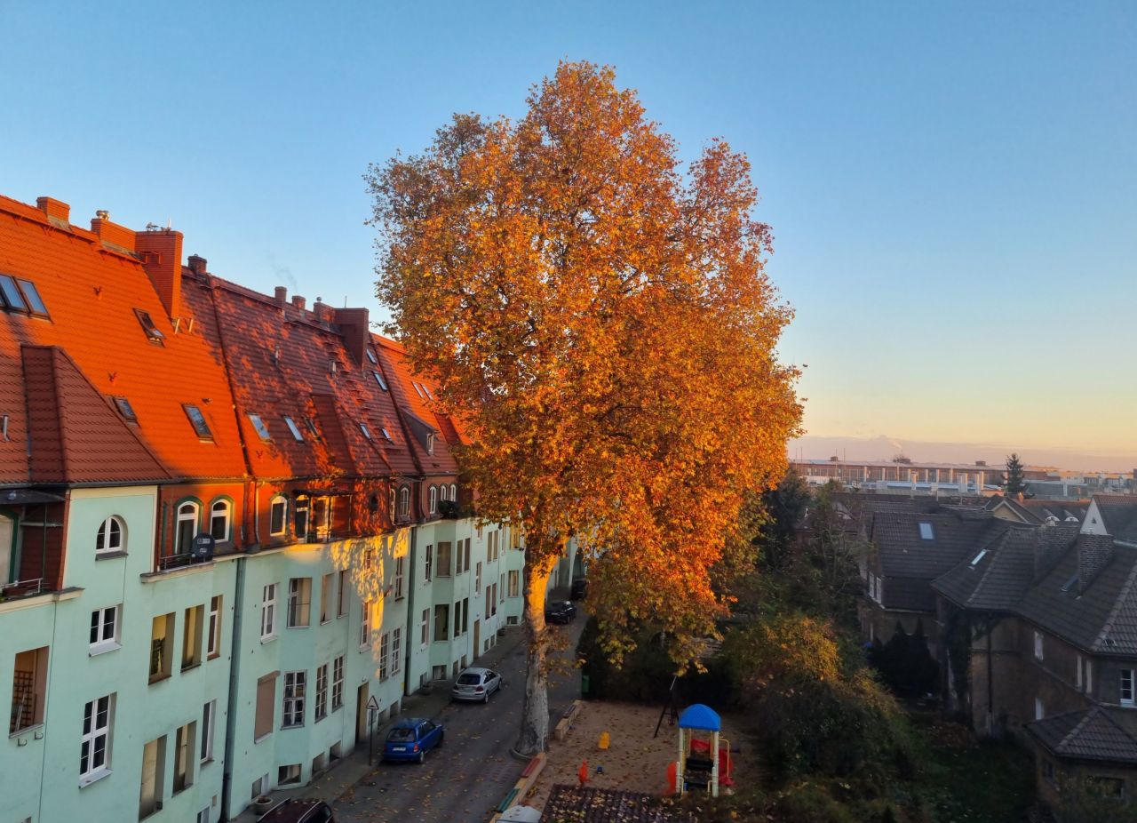 Mieszkanie 3-pokojowe Poznań Wilda, ul. Wspólna. Zdjęcie 14