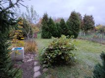 Działka rod Żagań. Zdjęcie 1