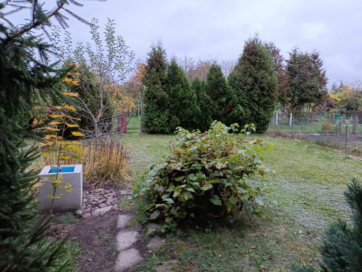 Działka rod Żagań. Zdjęcie 2