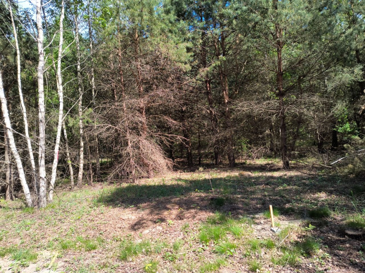 Działka budowlana Tereszewo. Zdjęcie 7