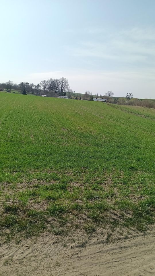 Działka budowlana Dąbrówka. Zdjęcie 3