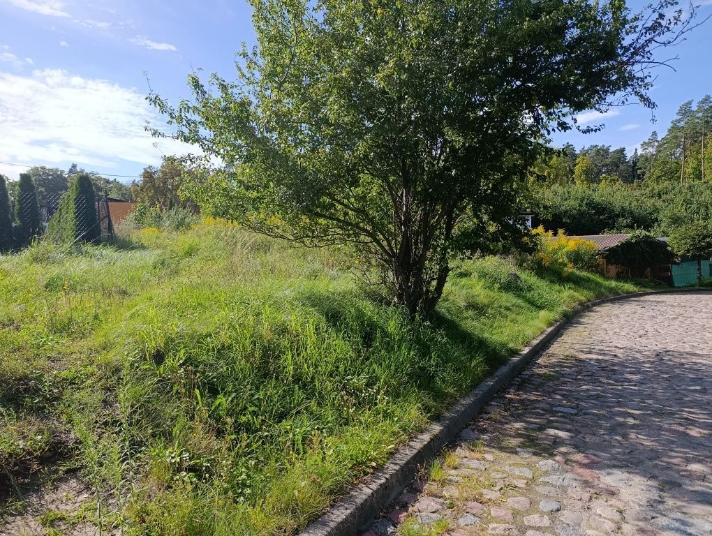 Działka budowlana Owidz, ul. Podgórna. Zdjęcie 3