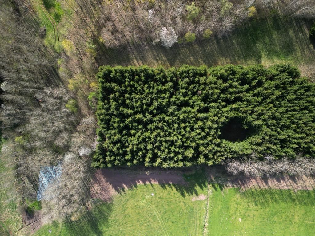 Działka rolno-budowlana Sokolica. Zdjęcie 8