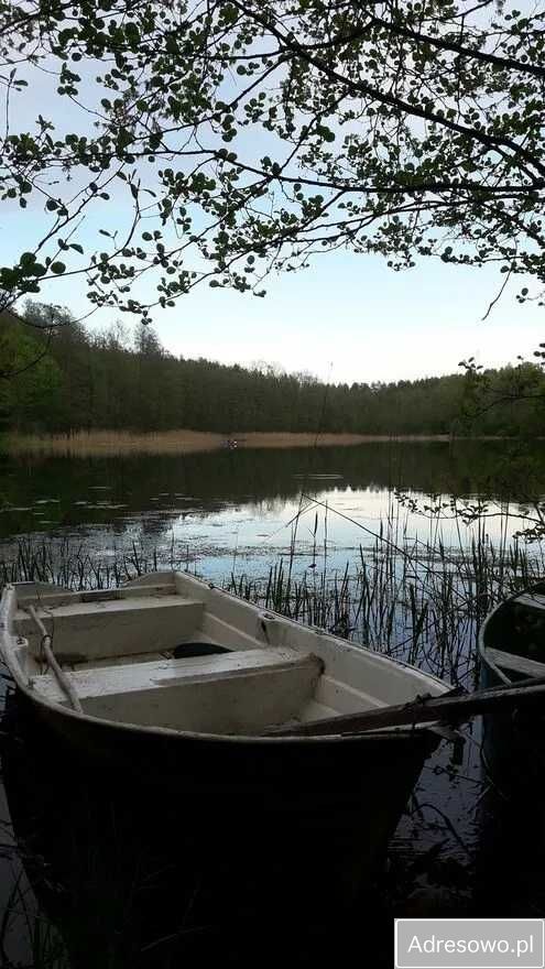 Działka budowlana Osówek. Zdjęcie 2