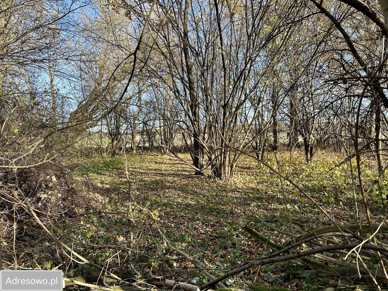 Działka budowlana Zadębie. Zdjęcie 6
