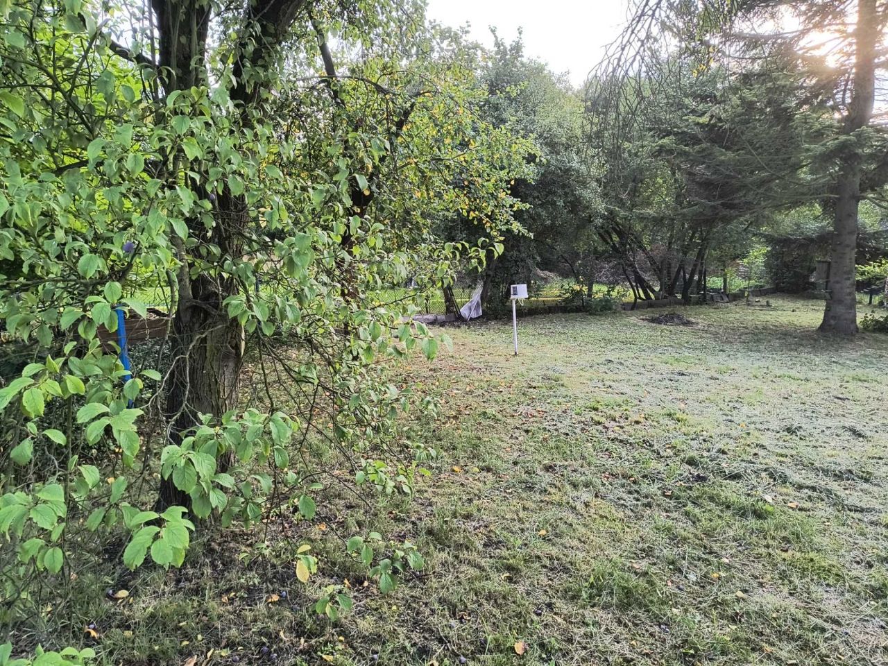 Działka rod Sosnowiec, ul. Anki Kowalskiej. Zdjęcie 2