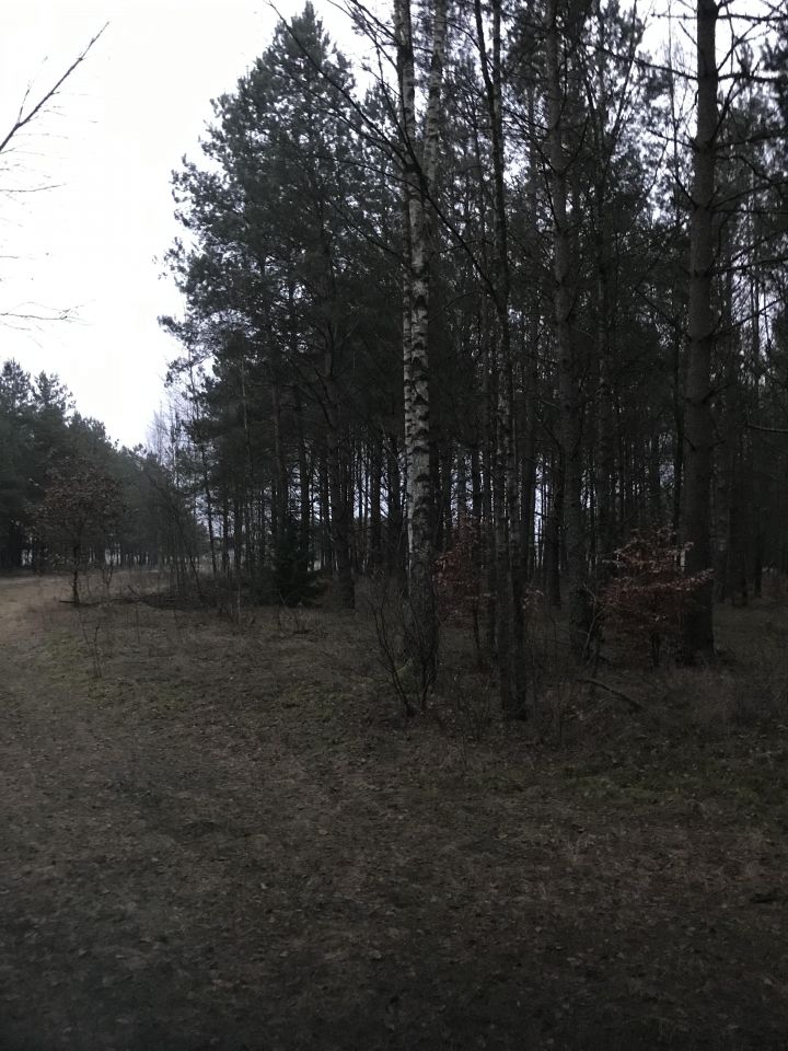 Działka budowlana Jerutki. Zdjęcie 3