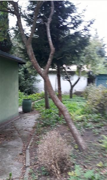 Działka rod Bydgoszcz Osiedle Leśne, ul. Bydgoskiego Batalionu Obrony Narodowej. Zdjęcie 2