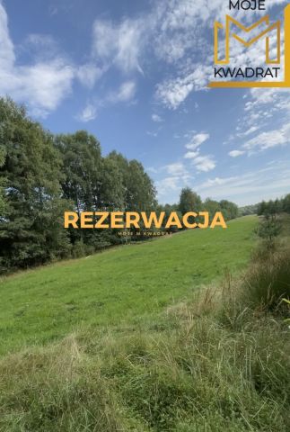 Działka budowlana Osina. Zdjęcie 1