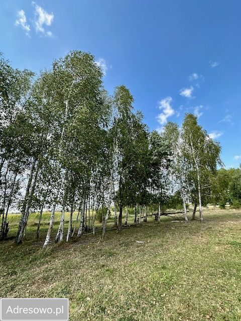 Działka budowlana Rafałówka. Zdjęcie 13