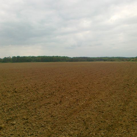 Działka rolna Wola Zaleska. Zdjęcie 1