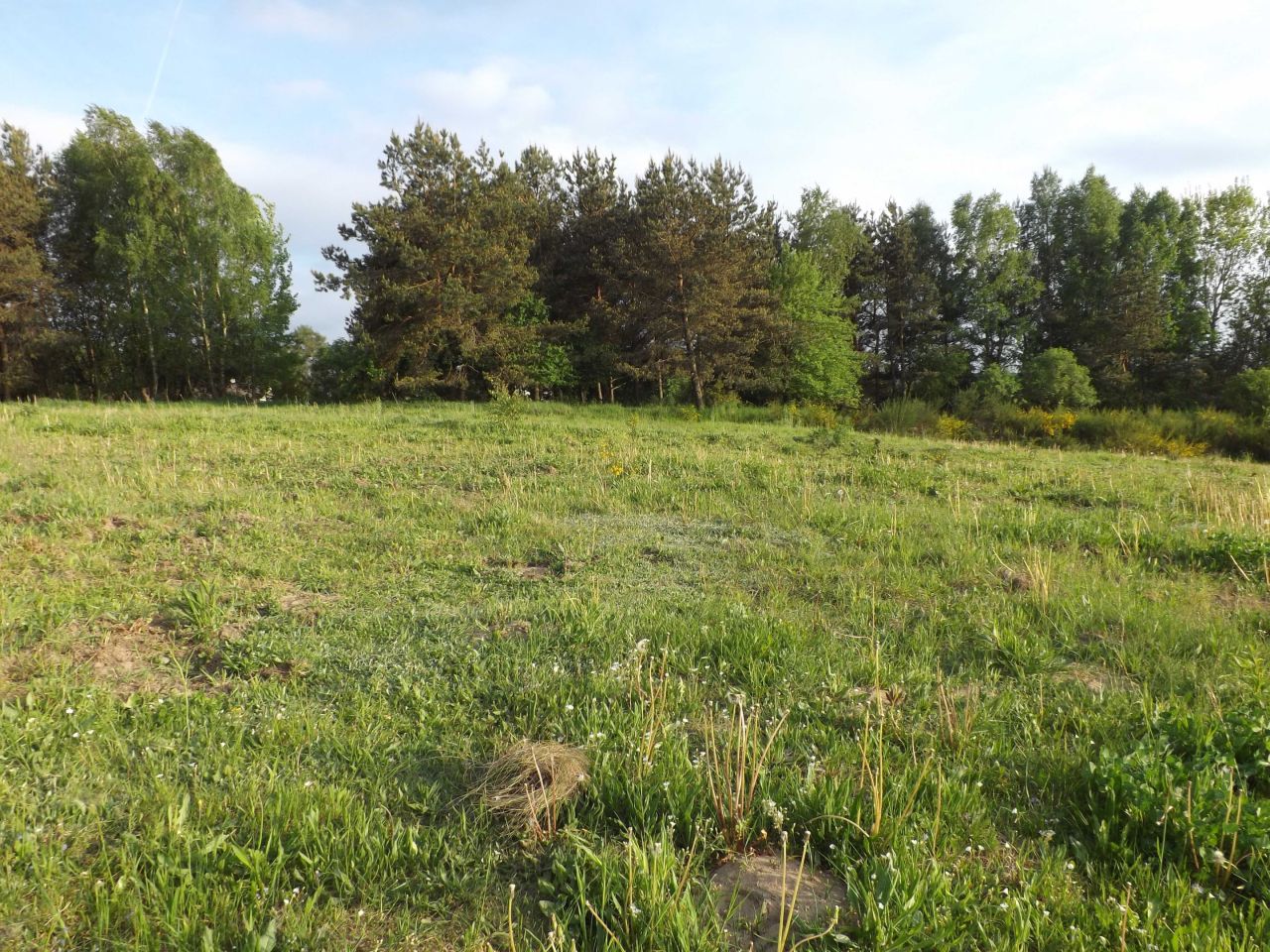 Działka budowlana Dębnica Kaszubska. Zdjęcie 5