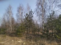 siedlisko Popławy. Zdjęcie 4