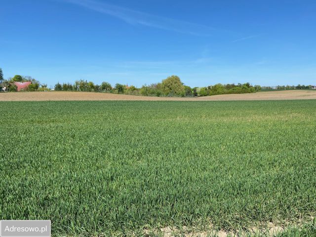 Działka budowlana Brzozowo. Zdjęcie 1