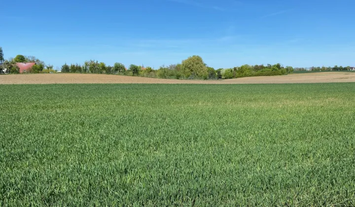 Działka budowlana Brzozowo